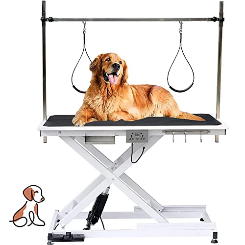 Top 10 Electric Dog Grooming Table of 2022 Katynel