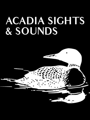 Acadia Sights & Sounds