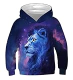 Ainuno Lion Hoodie Boys Girls Kids Unisex Sweatshirt Pullover Fall Shirts Long Sleeve Animal Print Fall Outfit Novelty Hoodies,Age Size 8-10 Year Old