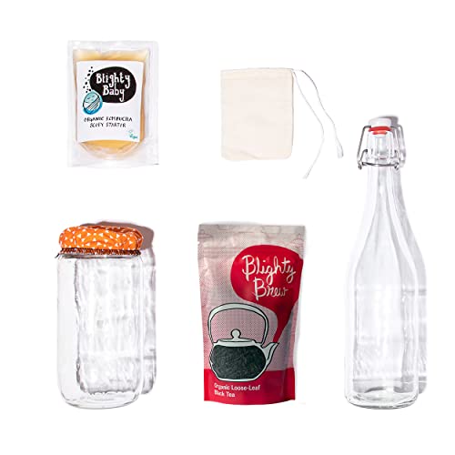 Organic Kombucha Starter Kit With Blighty Baby SCOBY - Make your own Blighty Booch Kombucha at home.