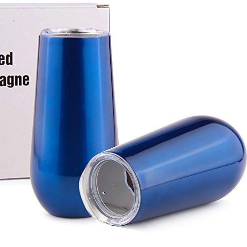 2Pack Stemless Champagne Flutes Set with Lid Insulated Vacuum Cocktail Cups Stainless Steel
