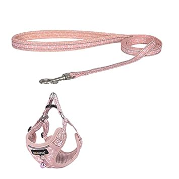 Pets Empire Reflective Cat Harness and Leash Set Escape Proof Small Cat Vest Harness with Bell Soft Mesh Adjustable Walking for Kitten ( Coral Pink )