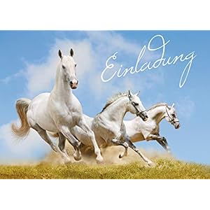 Edition Colibri (Set 4) 11031 Lot de 10 cartes d’invitation pour anniversaire d’enfant fille et garçon – Motif chevaux