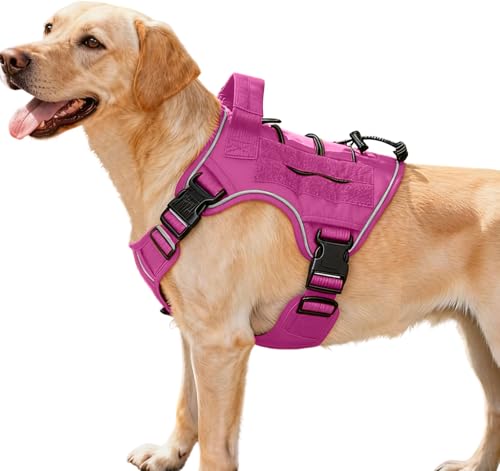 Heavy-Duty Tactical Dog Harness for Large Dogs, No Pull Adjustable Reflective Pet Vest with Molle System, K9 Military-Grade Control for Service Training, Outdoor & 10+ Breeds, Pink, Medium