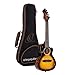 Produktbild Ortega Guitars Konzert Ukulele im Vintage Look - The Private Room Series - inklusive Gigbag - Alaskan Spruce (DSSUITE-UKE)