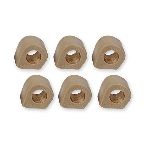 Poids de rouleau coulissant Dr. Pulley 16x13 8g pour variateur scooter