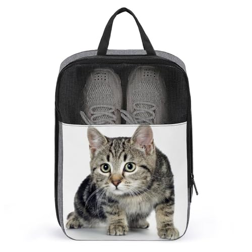 V[YP[X 킢 L V[YobO V[Y 㗚 [obO C C CobO gx|[`  y h C  肪t @\ ho hL ʋC ^h~ o s ƒp Y fB[X 