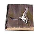 8 x 8 inches spiral bound glossy hard covered 9/16 inch twin loop wire binding spine 50 unlined pages, 8 x 7.75 inches - page thickness is 80lb text Acid free blank bright white non-coated paper Pages lay flat when book is opened