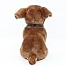 Kuscheltier Hund Boxer + Halsband 27 cm Plüschtier Stofftier Plüschhund Stoffhund