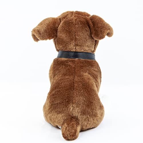 Kuscheltier Hund Boxer + Halsband 27 cm Plüschtier Stofftier Plüschhund Stoffhund