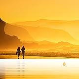  Sons Chaleureux à la Nuit Asiatique de la Forêt