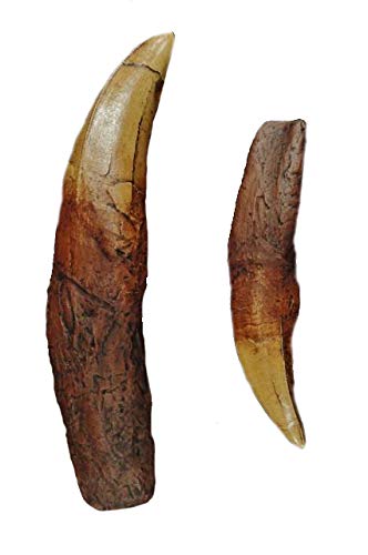 DINOSAURS ROCK® Tyrannosaurus Rex (T-Rex) Tooth with Root Replica - 7.25"