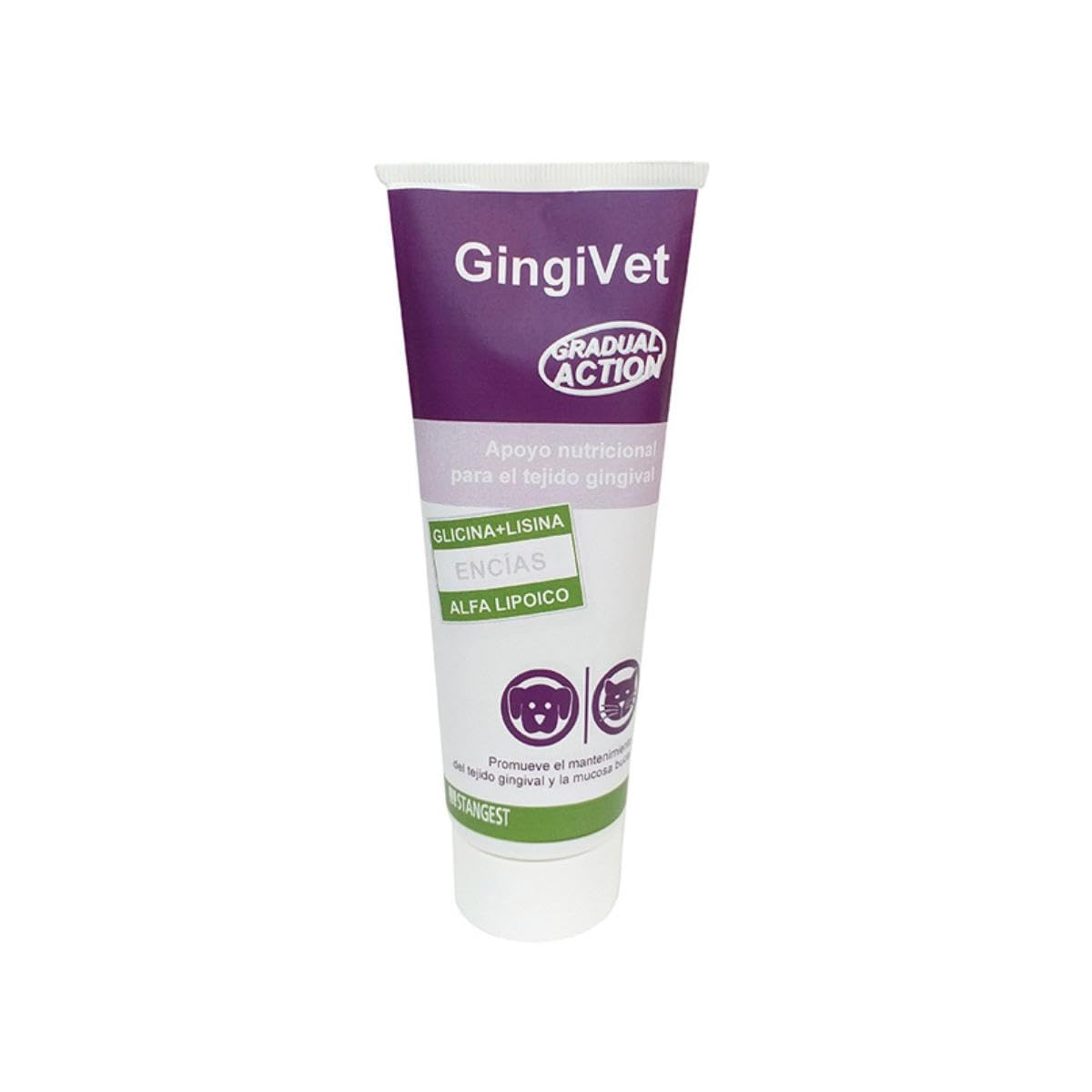 Gingivet Pasta 100Gr