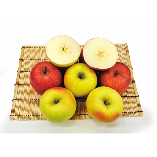 y2025 Εz XY TӂEܖ (n̂)