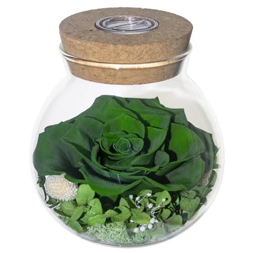 roliys Preserved Real Roses with Colorful Mood Light Wishing Bottle,Eternal Rose,Never Withered Flowers,for Bedroom Party Table Decor, Christmas Decorations,a Gifts for Women 4.3inch1pcs (Green)