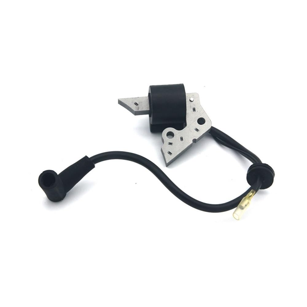 Bobina de encendido para solucionar fallos de arranque en motores RGX2400 EY150
