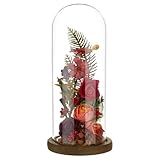 BENECREAT Bogenförmige Glasglocke mit Holzunterlage 25x9.5cm klare Glasdisplaykuppel für Home Decor Glockendisplaygehäuse zur Präsentation von Pflanzen Sammlerstücken Andenken Farbe Kokosbraun