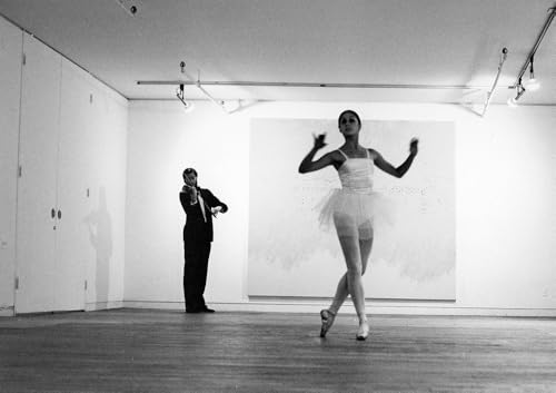Ileana Sonnabend & Arte Povera. Ediz. Illustrata - 9