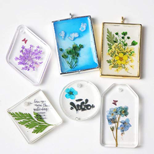 Flores Secas Prensadas para Resin Artesanías DIY miniatura 3