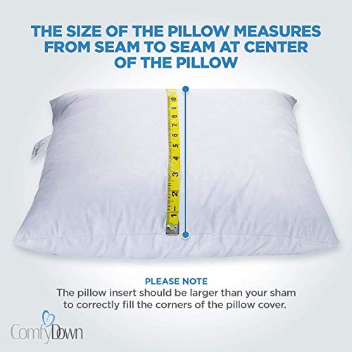 feather pillow inserts 22x22