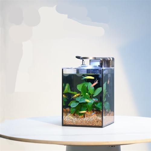 Aquarium bocal poisson sans entretien eau propre continue - 6