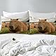 Capybara Bettwäsche 135x200 Lustige Capybara Tiere Bettbezug für Kinder Jungen Mädchen Erwachsene Süßes Cartoon Tier Bettwäscheset 3D Wildtier Thema Schlafzimmer Dekor Weicher Gemütlicher Bettbezug