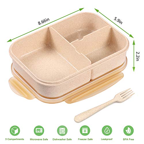 Jeopace Bento Box For Adults Lunch Containers For Kids 3 Compartment Lunch Box Food Containers Leak Proof Microwave Safe(Flatware Included, Champagne) #TOP1