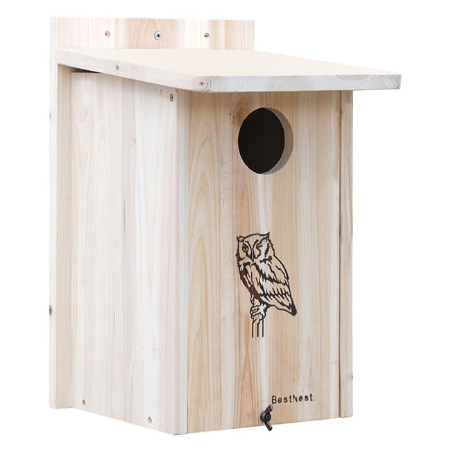 BestNest Premium Screech Owl & Kestrel House