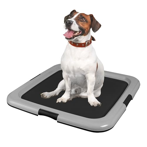Image of IRIS USA Pee Pad Holder for Dogs and Puppies, Potty Training Tray with Secured Latches, Non-Skid Feet, Leak Protection, Easy Clean Surface, Fits 22 inchx 22 inch Puppy Pads Size or Larger, 2 Pack, Black /Gray