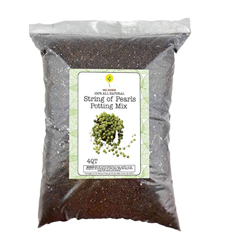 String of Pearls Planting Soil, Hand Blended All Natural Potting Mix for Planting, Growing, or Repotting String of Pearls, Potting Soil for String of Pearls, Small Batch Hand Blended 4QT Size Bag