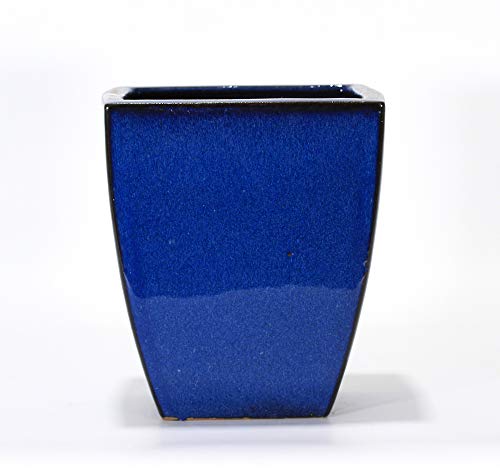 Pollice Verde Square Glazed Bonsai Pot cm. 15 BLU -