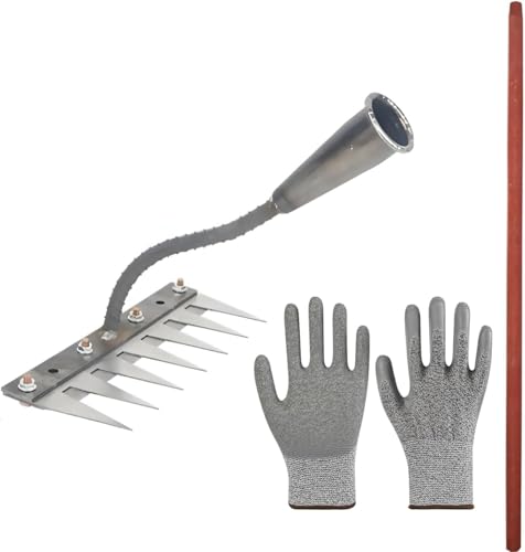 [Snughom]y}K| _Ɨp StH[Nz@\  c[ O\ 5/6/7/8{  S yɂ  ƒp _ K[fjO F L | ƒ؉ 