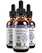 Nervestra Nerve Health Support Supplement - Fast, Natural Liquid Formula - Turmeric, B-Vitamins, Alpha Lipoic Acid & More