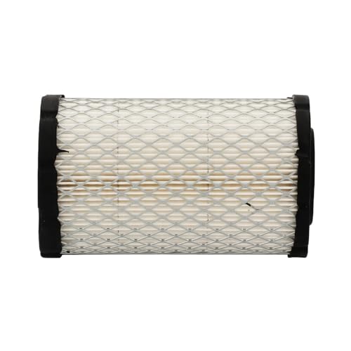 Remplacement d'air tondeuse compatible 796031 et 591334