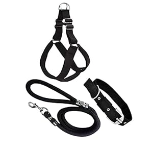 Senapati Dog Combo Pack of Harness, Neck Collar Belt and Rope Set (Black, Medium, Waterproof, Rope Size 1.5M-2M)