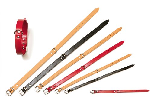 Karlie Kolibri Collare per Cani