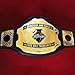 JILDISH Handcrafted Custom Championship Belt, 100% Genuine Leather Personalized Belt for Football, Boxing, Wrestling Title & Sales Events Award, Customizable World Champion Trophy Belts (2mm Brass)