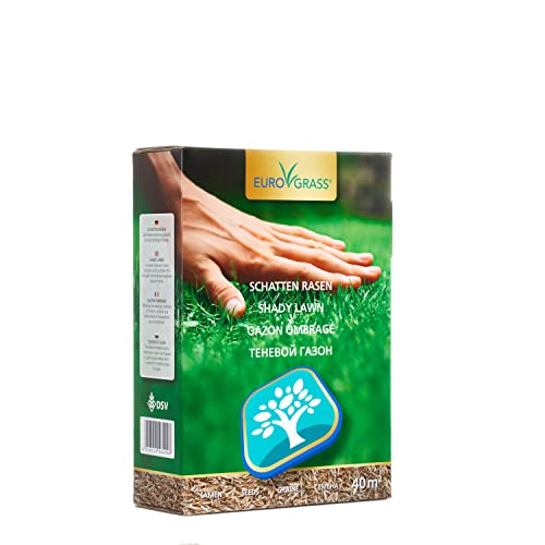 Schattenrasen-Samen Euro Grass Premium für schattige Flächen