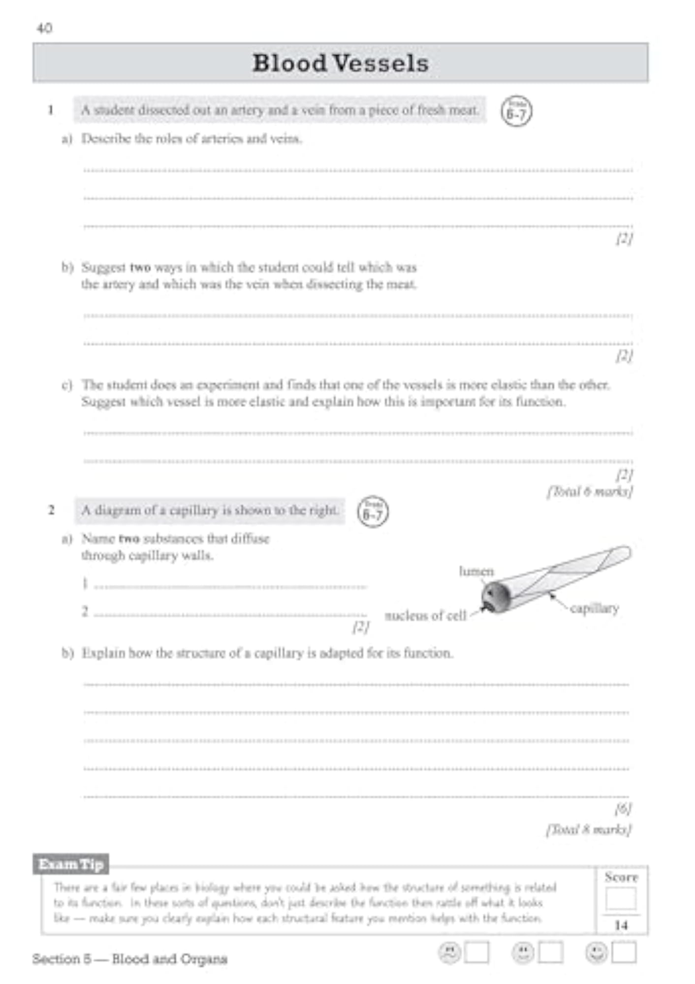 9-1 Edexcel International GCSE Biology Exam Practice Workbook