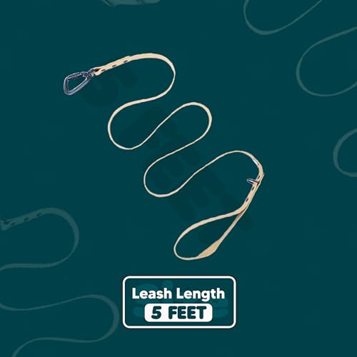 Image of Adil's Biothane Dog Leash - Waterproof Leashes for Dogs, Metal Hook, Adjustable 5ft Length Suitable for Dogs & Puppies, Ideal for Walking, Running & Training (Lemon Grey)