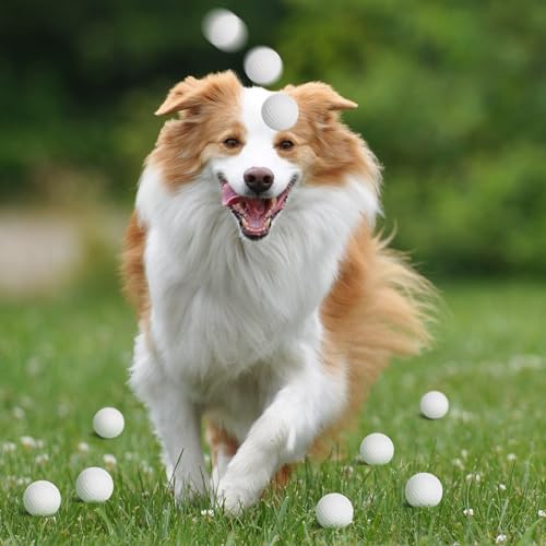 Hooqict Mini Foam Golf Stress Balls 25 Pack