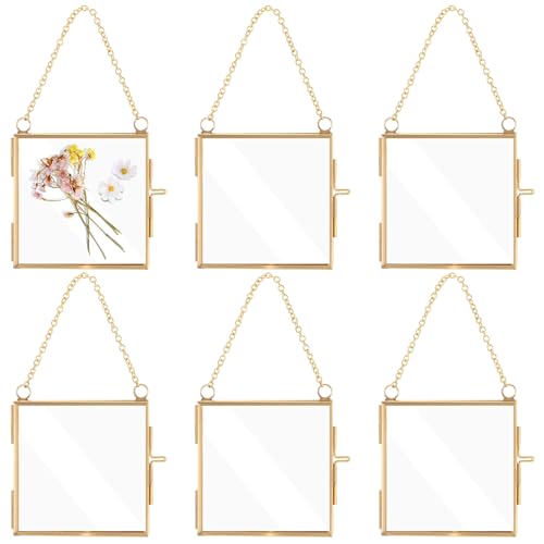 6 Clear Double-Sided Mini Hanging Frames