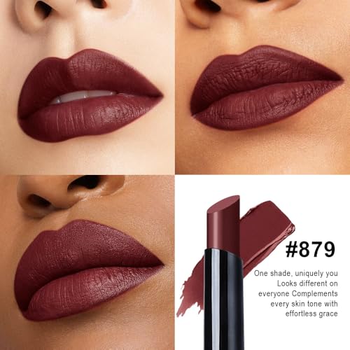 Image of evpct Dark Maroon Velvet Matte Lipstick, High Pigmented Slim Lipstick Long Lasting Waterproof for Women Gift, Velvet Silky Lip Stick Stain Color Makeup Blendable 24 Hours Original Makeup Labiales,879#