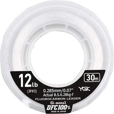 X BRAIDYgk Fluorocarbone Dfc 100% Fluoro Leader - 30m - D.0.14mm - R.3Lb-1.4Kg - Translucid - G Soul Dfc Fluo 3Lb