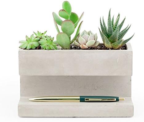 Kikkerland Concrete Desktop Planter, Large (PL02-L)