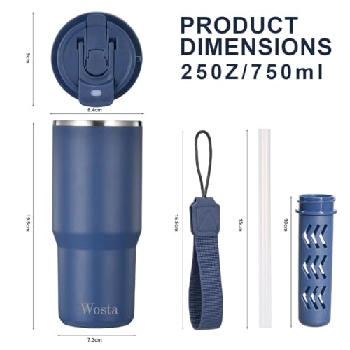 Image of Wosta 750 ml Stainless Steel Insulated Tumbler - Dual-Lid (Flip-Sip + Straw), Tea /Fruit Strainer, Leak-Proof Screw-On Lid, Silicone Straw & Hanging Belt. (Dark Blue)