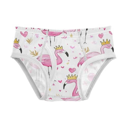 Wusikd Pink Flamingos Boys' Underwear Cotton Crowns Boys Briefs Soft Toddler Underwear 2T