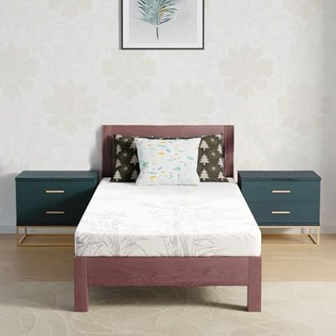 Viscologic Econo 4" Twin/Single Size Mattress in a Box Cool Resilient Medium Firm Flippable Foam | for Everyone, Kids to Adults | Use with Bunk Bed/Trundle/Platform Bed | CertiPUR-US® Certified Cover