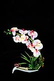 FLCSIed Artificial Orchid Flower Pot Artificial Phaleanopsis Arrangement with Vase Decorative Orchid