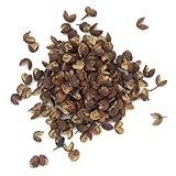 Baies du Bhoutans en sachet économique de 24 grammes
